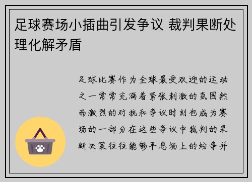 足球赛场小插曲引发争议 裁判果断处理化解矛盾